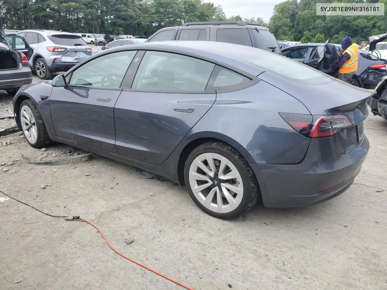 2022 Tesla Model 3 VIN: 5YJ3E1EB9NF316181 Lot: 62512565