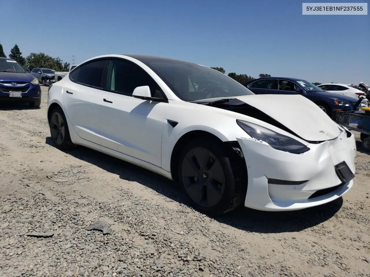 2022 Tesla Model 3 VIN: 5YJ3E1EB1NF237555 Lot: 62954085