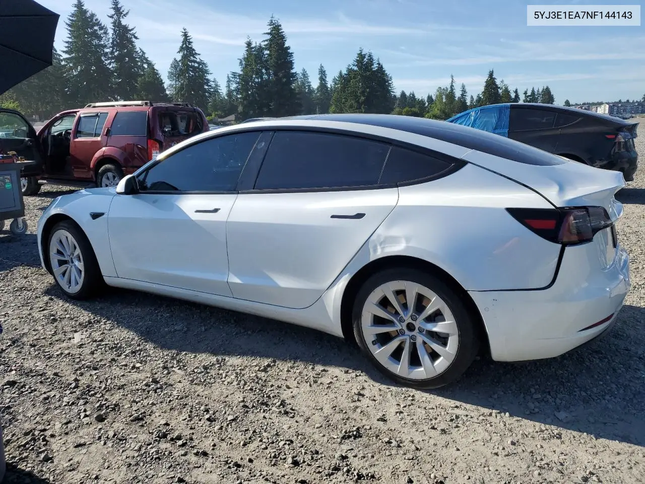 2022 Tesla Model 3 VIN: 5YJ3E1EA7NF144143 Lot: 63061525