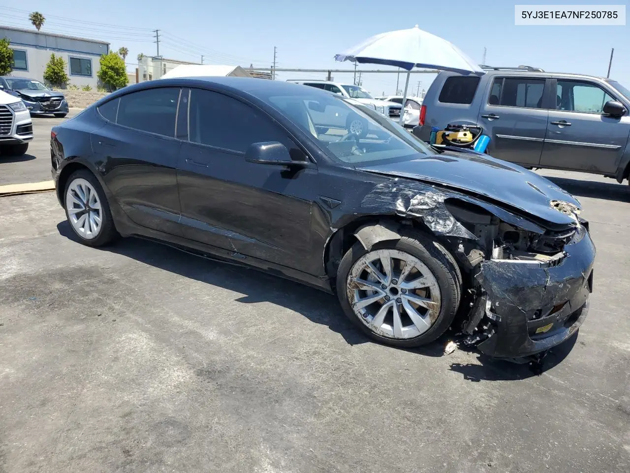 2022 Tesla Model 3 VIN: 5YJ3E1EA7NF250785 Lot: 64108995
