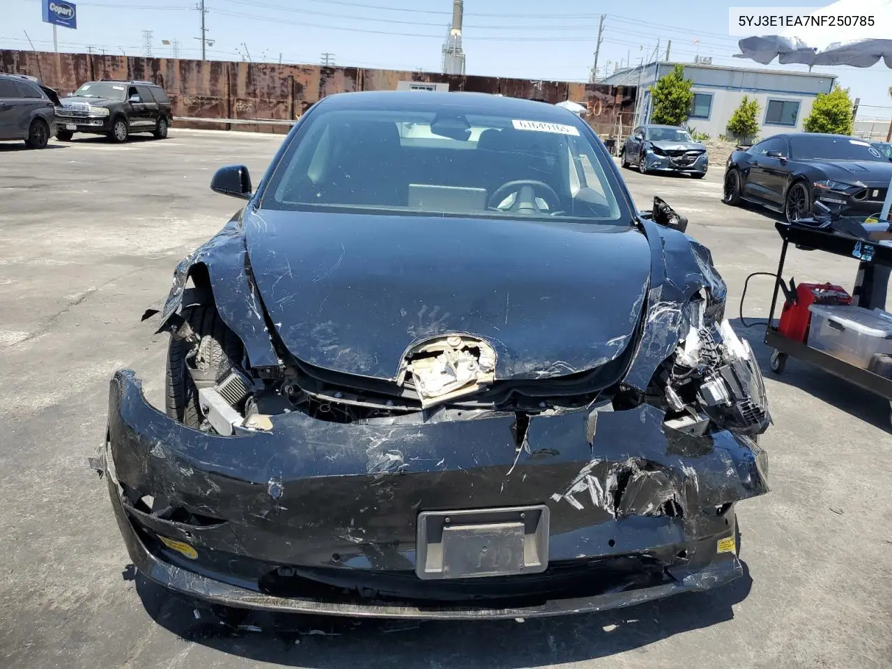 2022 Tesla Model 3 VIN: 5YJ3E1EA7NF250785 Lot: 64108995
