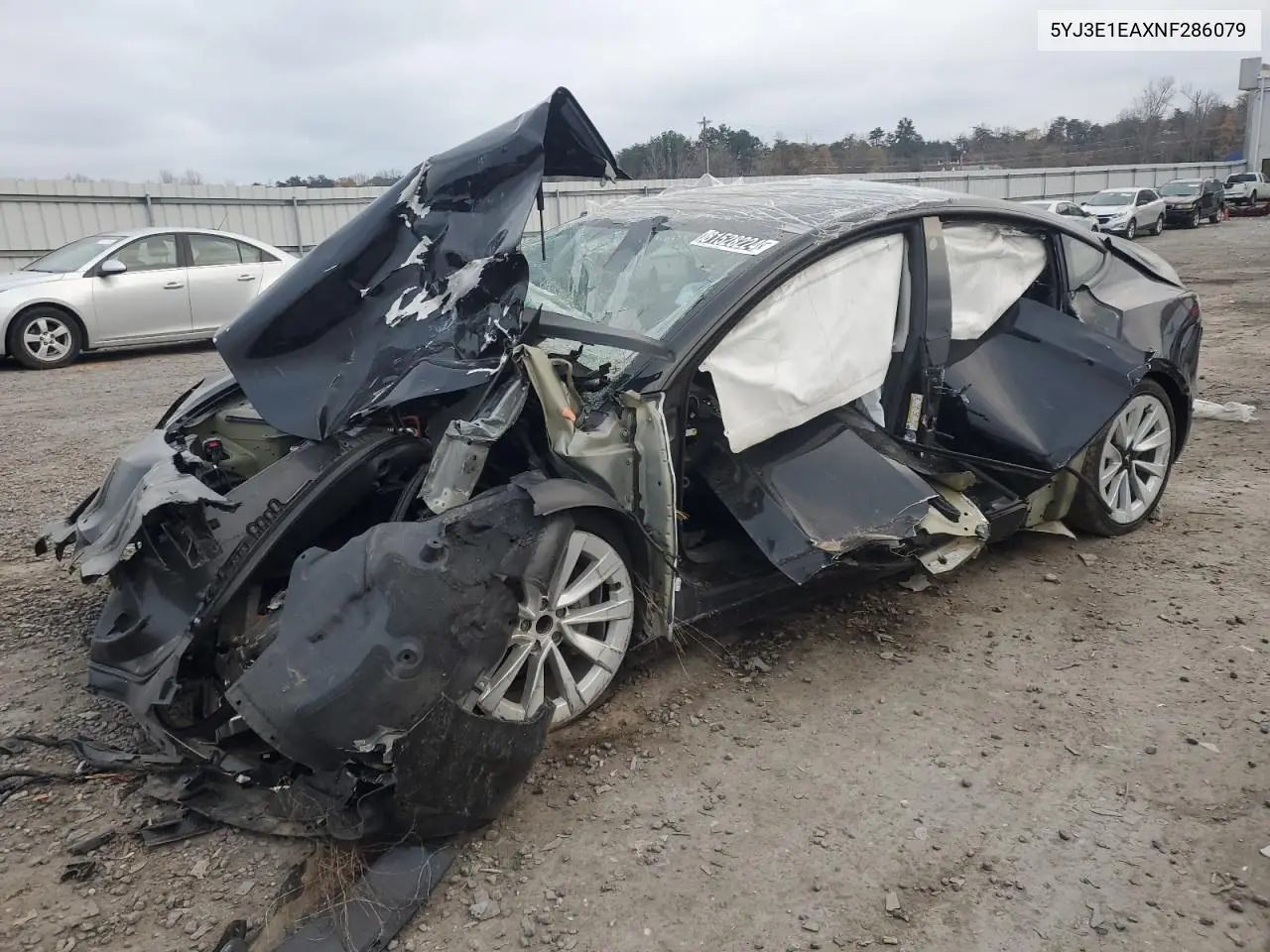 2022 Tesla Model 3 VIN: 5YJ3E1EAXNF286079 Lot: 81528224