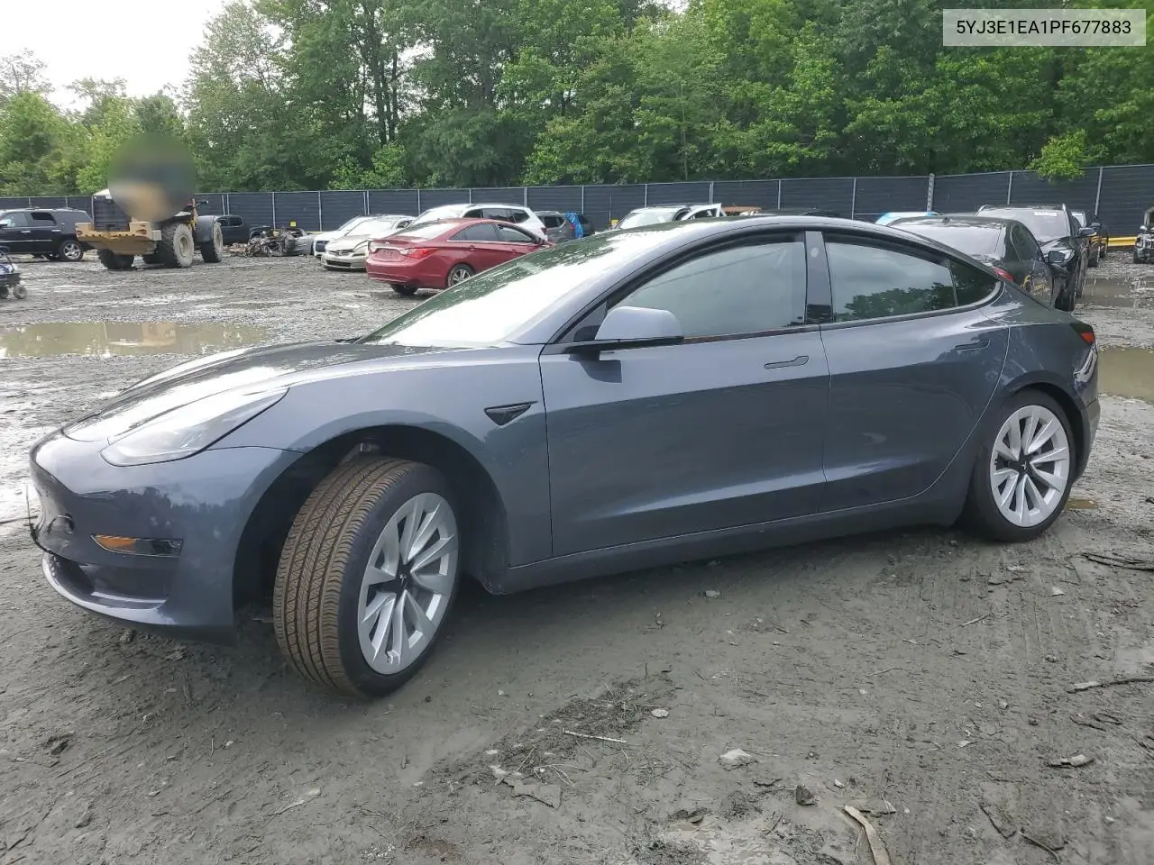 2023 Tesla Model 3 VIN: 5YJ3E1EA1PF677883 Lot: 58949005