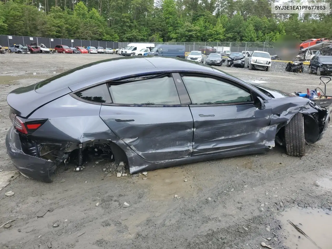 2023 Tesla Model 3 VIN: 5YJ3E1EA1PF677883 Lot: 58949005