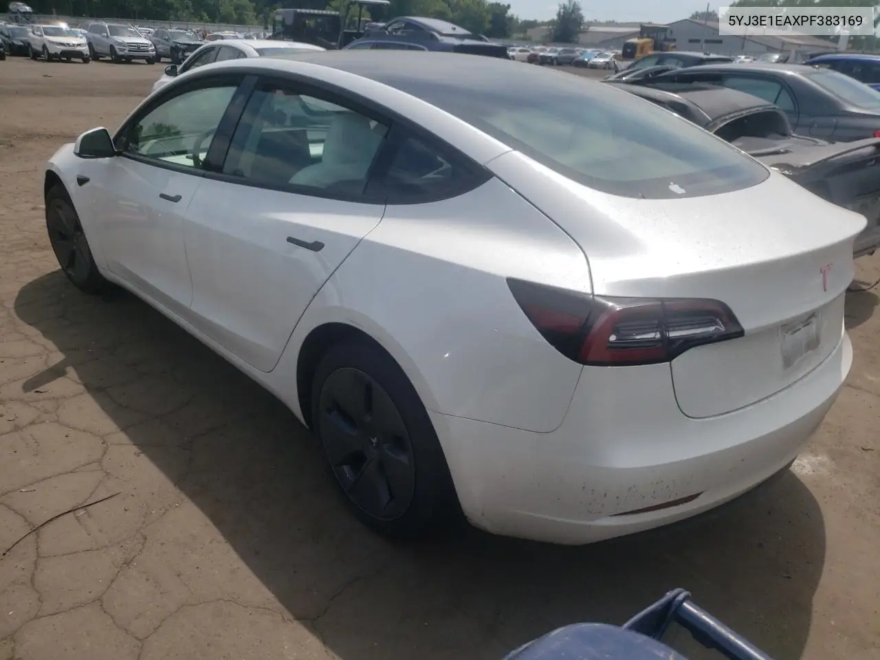 5yj3e1eaxpf383169 5YJ3E1EAXPF383169 2023 Tesla Model 3