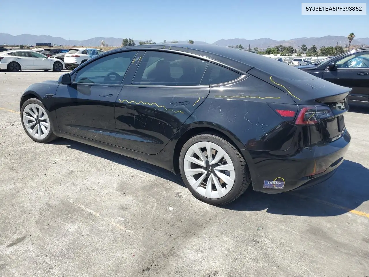 2023 Tesla Model 3 VIN: 5YJ3E1EA5PF393852 Lot: 62462815
