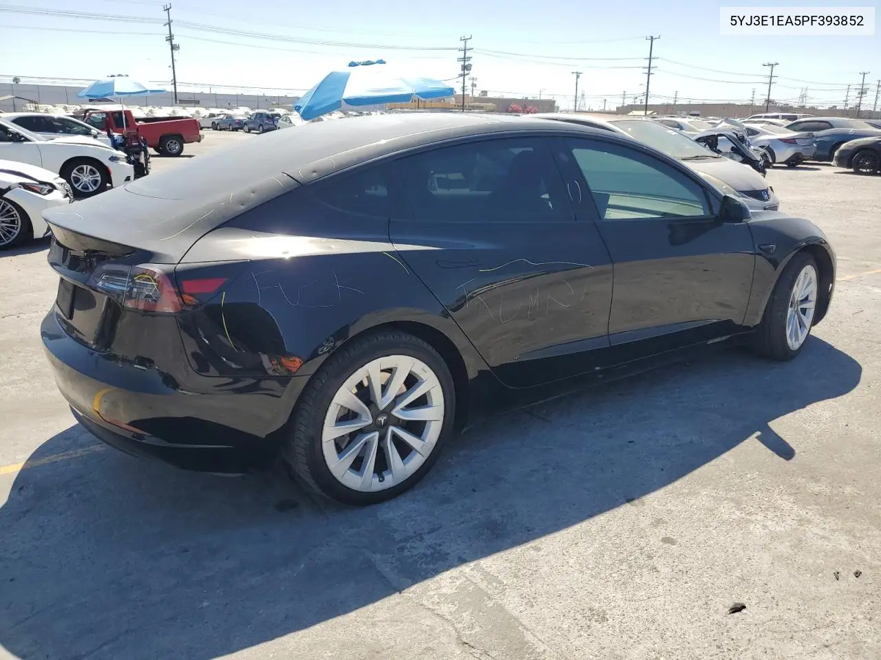 2023 Tesla Model 3 VIN: 5YJ3E1EA5PF393852 Lot: 62462815