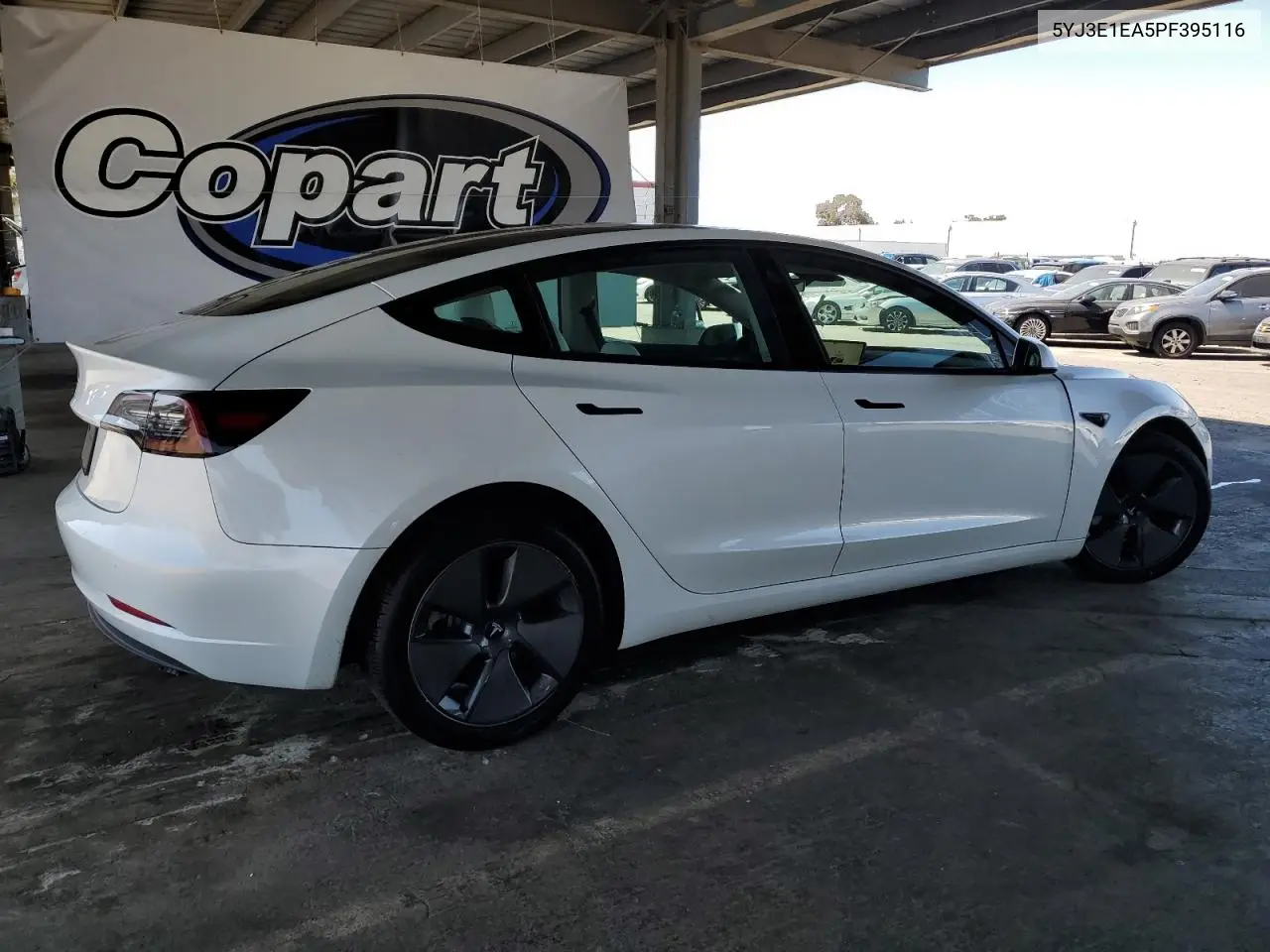 2023 Tesla Model 3 VIN: 5YJ3E1EA5PF395116 Lot: 62768205