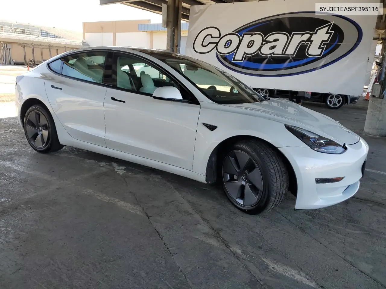2023 Tesla Model 3 VIN: 5YJ3E1EA5PF395116 Lot: 62768205