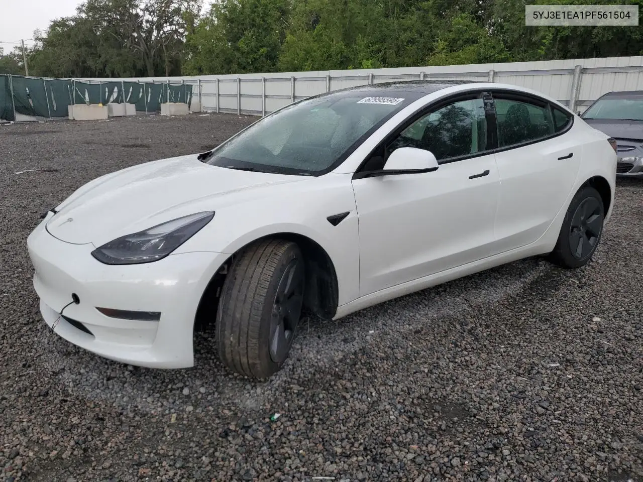 2023 Tesla Model 3 VIN: 5YJ3E1EA1PF561504 Lot: 62995595