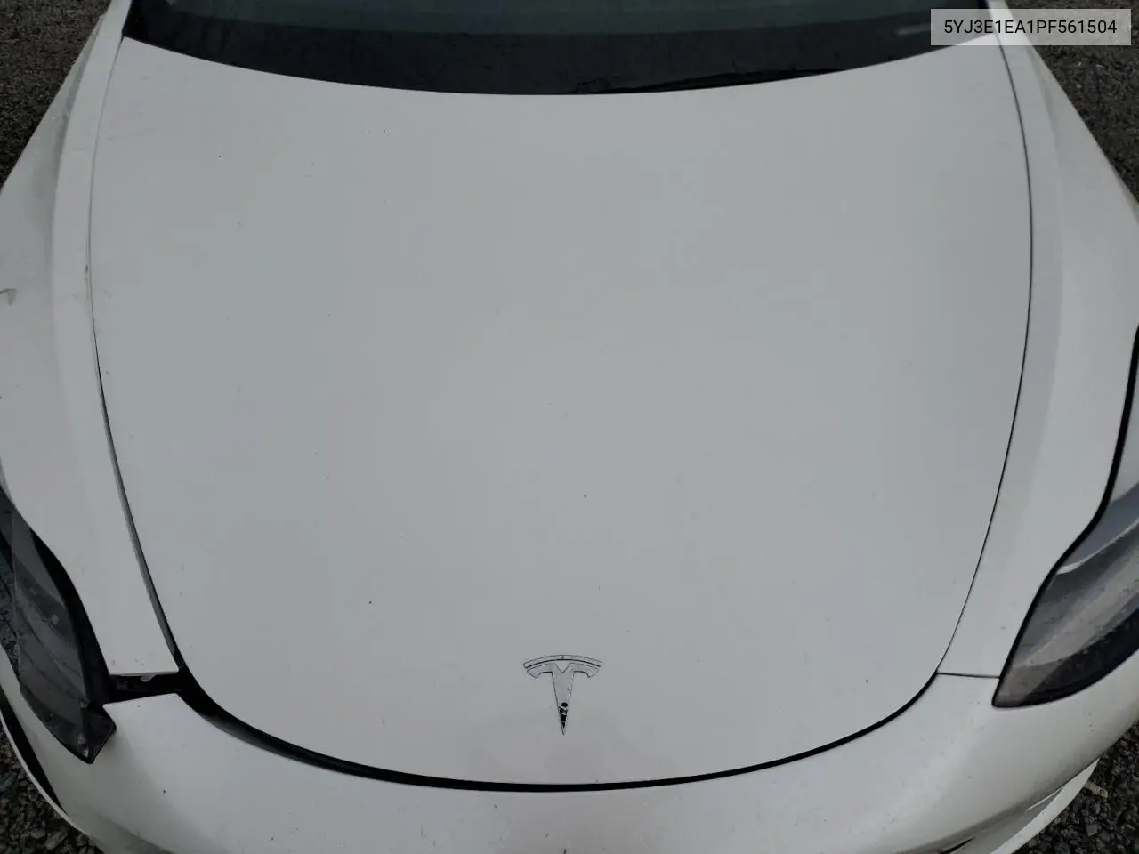 2023 Tesla Model 3 VIN: 5YJ3E1EA1PF561504 Lot: 62995595