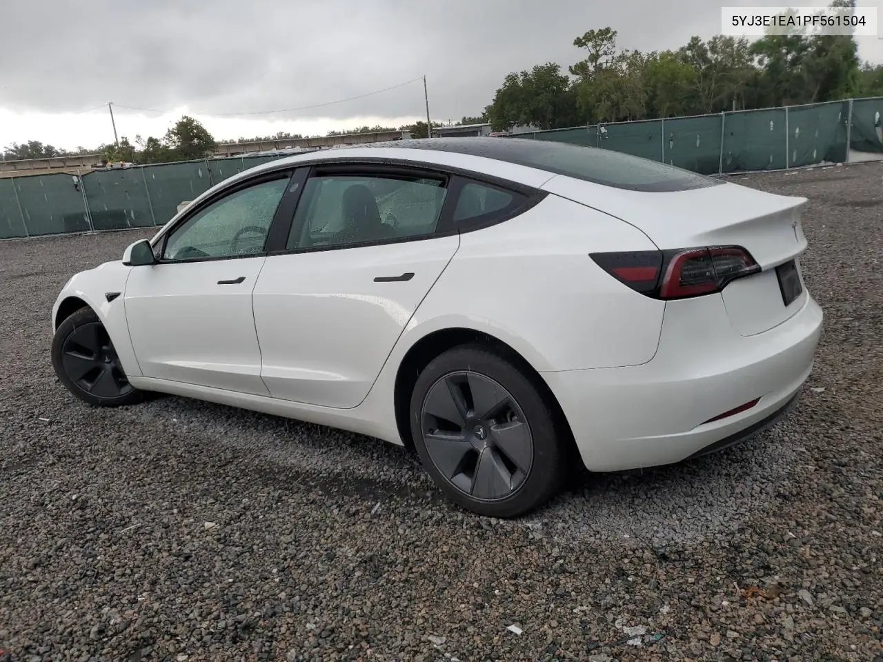 2023 Tesla Model 3 VIN: 5YJ3E1EA1PF561504 Lot: 62995595