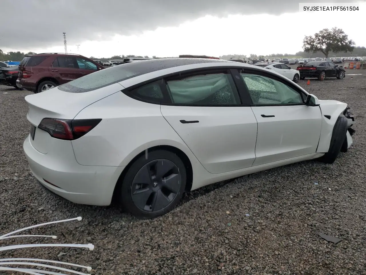 2023 Tesla Model 3 VIN: 5YJ3E1EA1PF561504 Lot: 62995595
