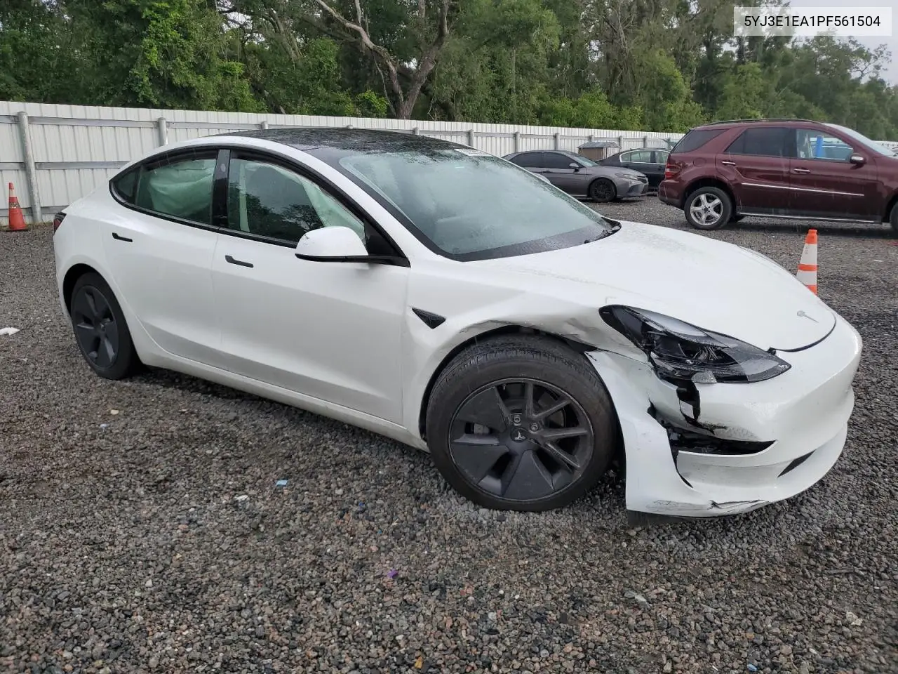 2023 Tesla Model 3 VIN: 5YJ3E1EA1PF561504 Lot: 62995595