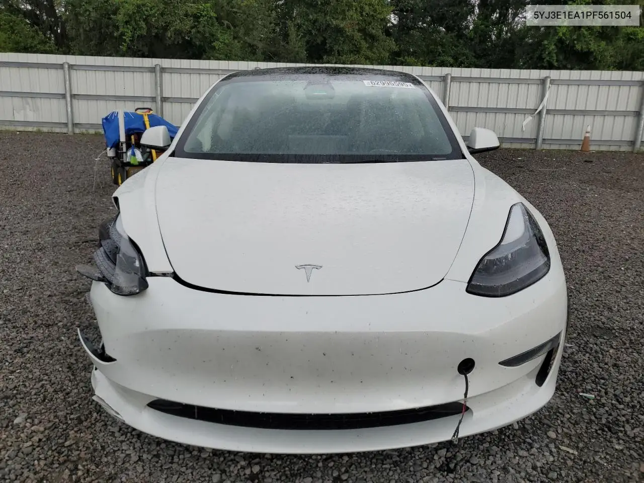 2023 Tesla Model 3 VIN: 5YJ3E1EA1PF561504 Lot: 62995595