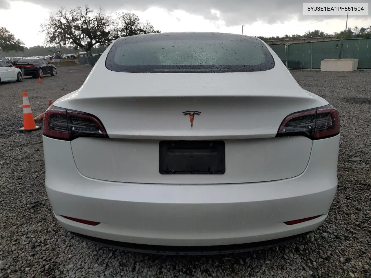 2023 Tesla Model 3 VIN: 5YJ3E1EA1PF561504 Lot: 62995595