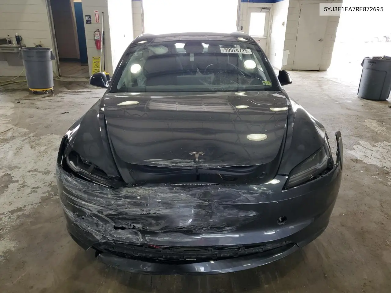 2024 Tesla Model 3 VIN: 5YJ3E1EA7RF872695 Lot: 50828725