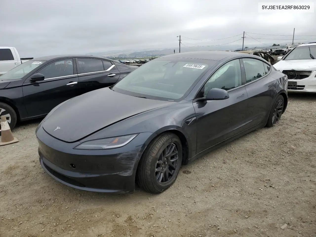 2024 Tesla Model 3 VIN: 5YJ3E1EA2RF863029 Lot: 55879635