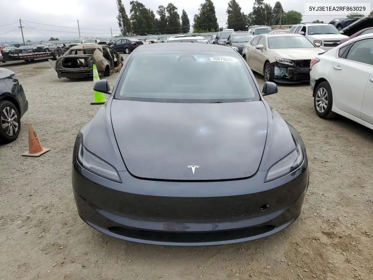 2024 Tesla Model 3 VIN: 5YJ3E1EA2RF863029 Lot: 55879635