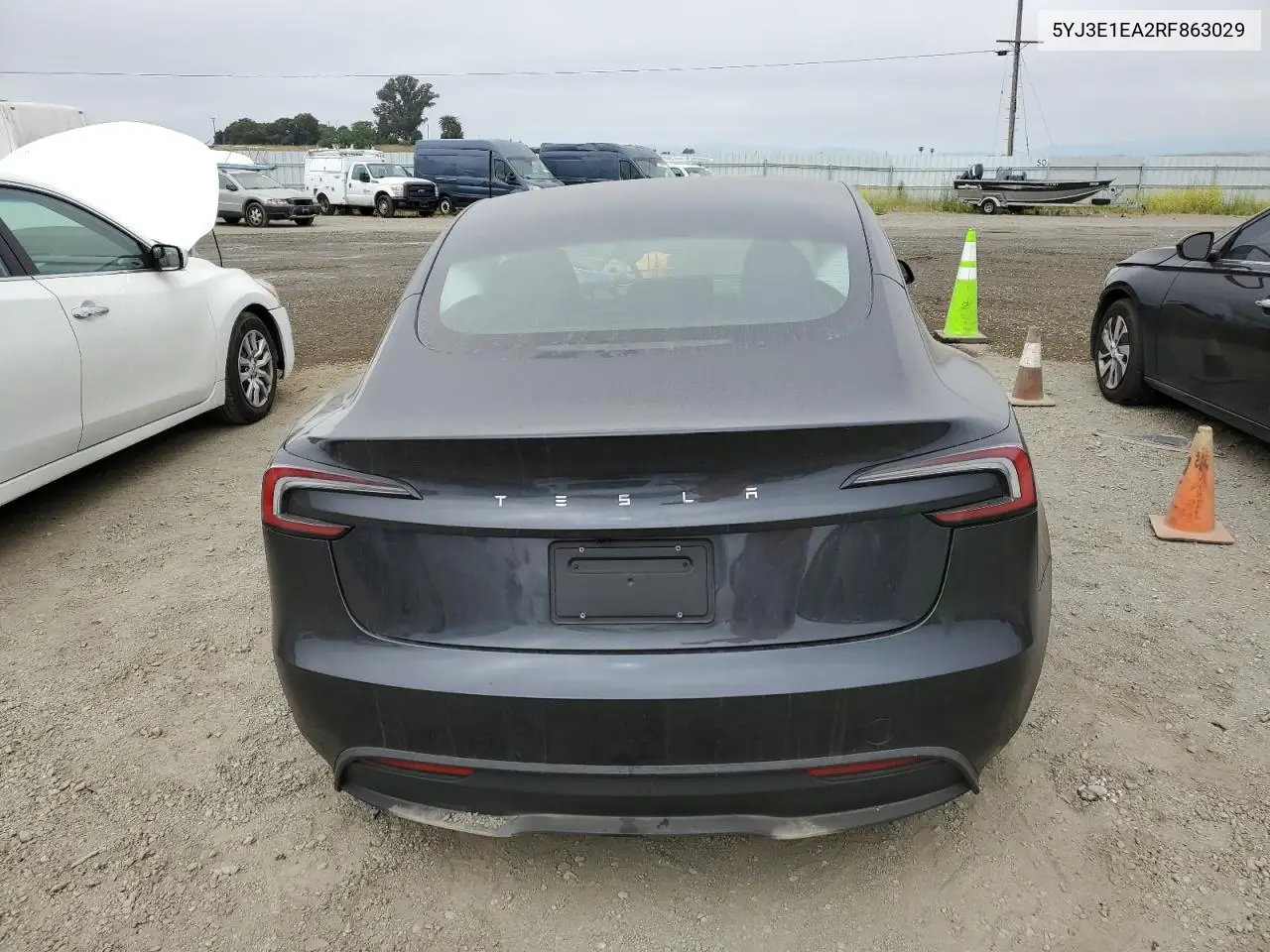 2024 Tesla Model 3 VIN: 5YJ3E1EA2RF863029 Lot: 55879635