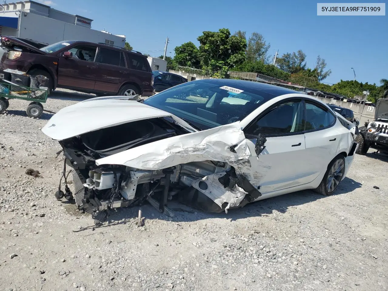 2024 Tesla Model 3 VIN: 5YJ3E1EA9RF751909 Lot: 56796555