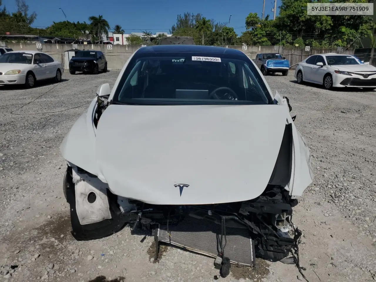 2024 Tesla Model 3 VIN: 5YJ3E1EA9RF751909 Lot: 56796555