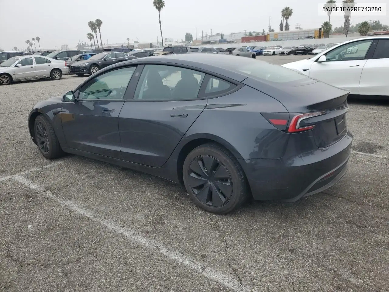 2024 Tesla Model 3 VIN: 5YJ3E1EA2RF743280 Lot: 59902525