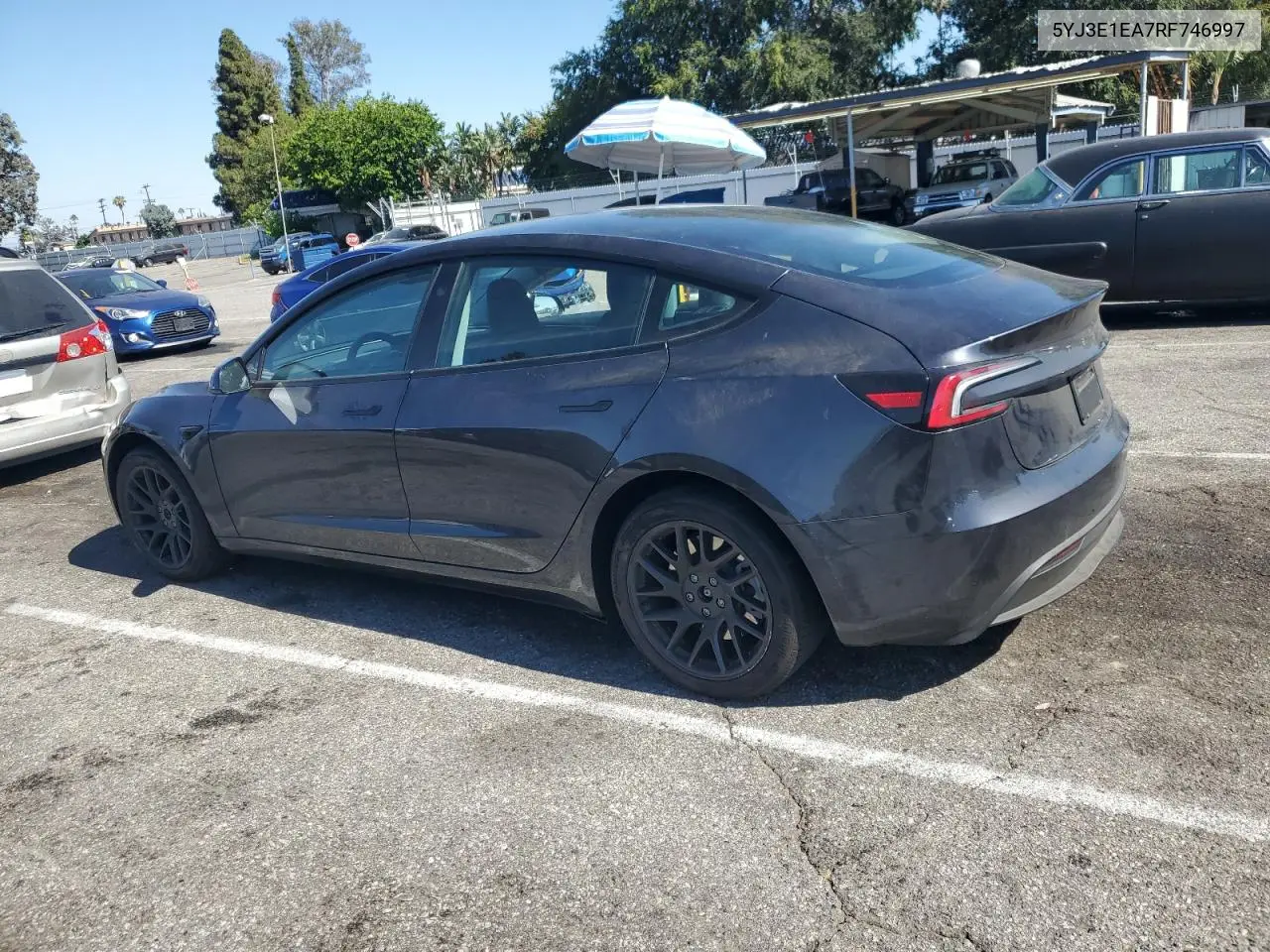 2024 Tesla Model 3 VIN: 5YJ3E1EA7RF746997 Lot: 62506605