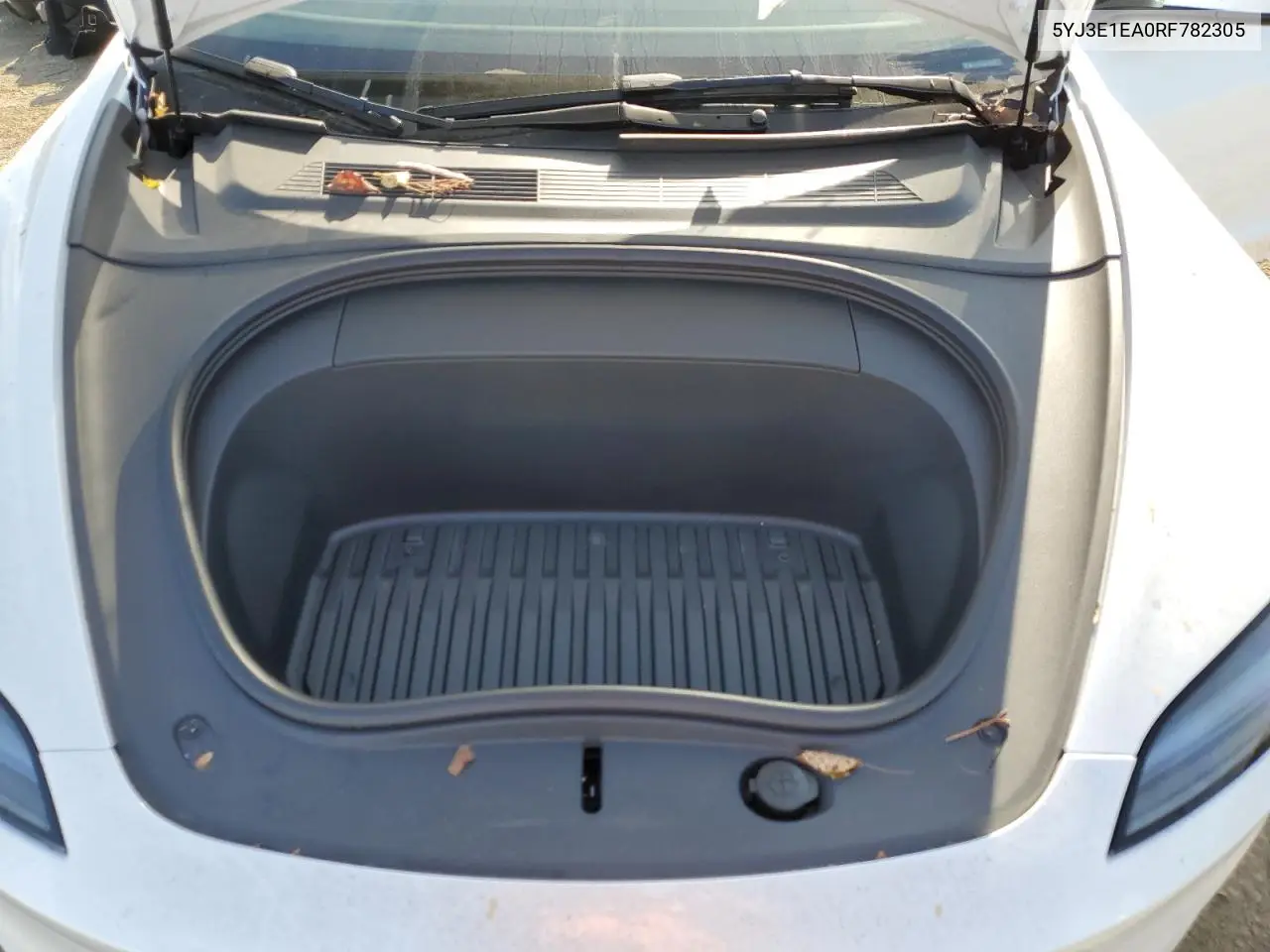 2024 Tesla Model 3 VIN: 5YJ3E1EA0RF782305 Lot: 62915685