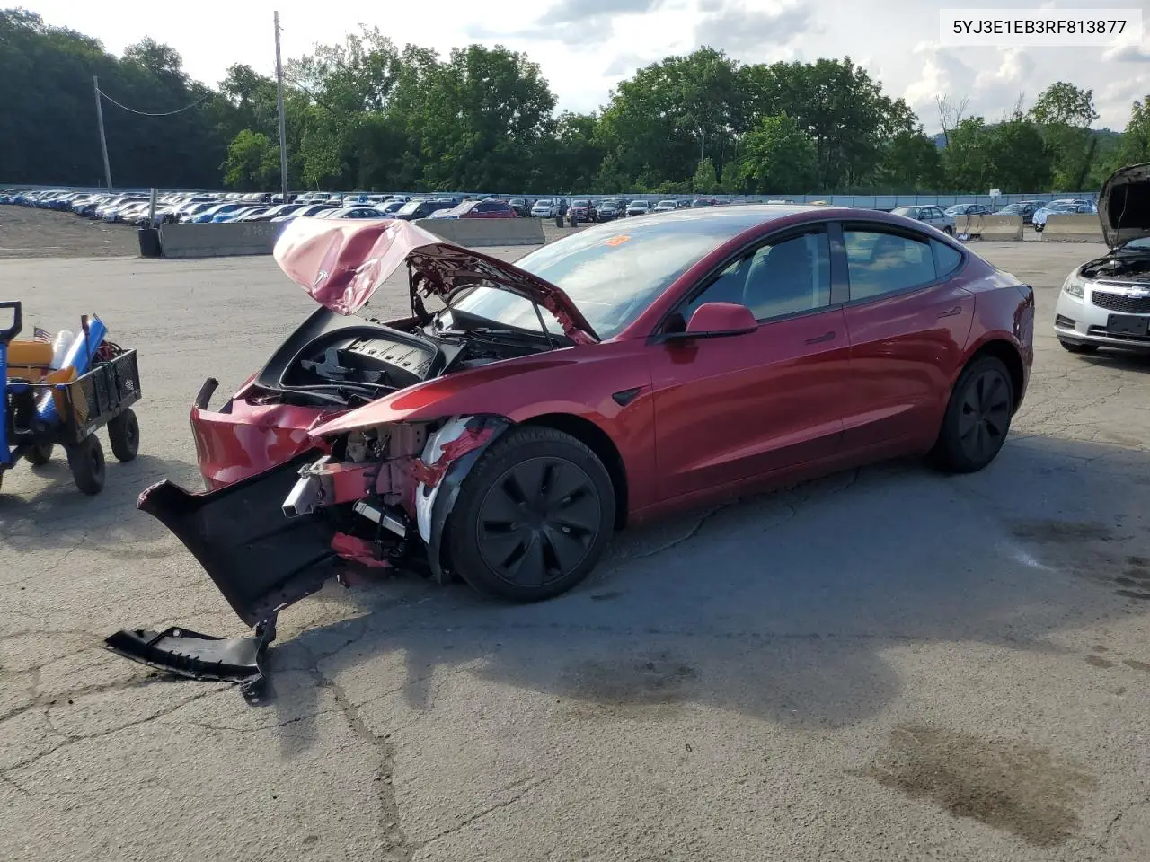 2024 Tesla Model 3 VIN: 5YJ3E1EB3RF813877 Lot: 62928815