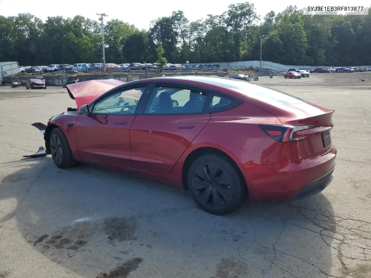 2024 Tesla Model 3 VIN: 5YJ3E1EB3RF813877 Lot: 62928815