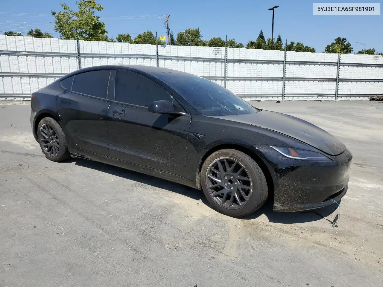 2025 Tesla Model 3 VIN: 5YJ3E1EA6SF981901 Lot: 62789315