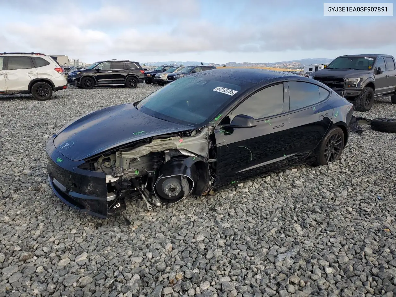 2025 Tesla Model 3 VIN: 5YJ3E1EA0SF907891 Lot: 64235785
