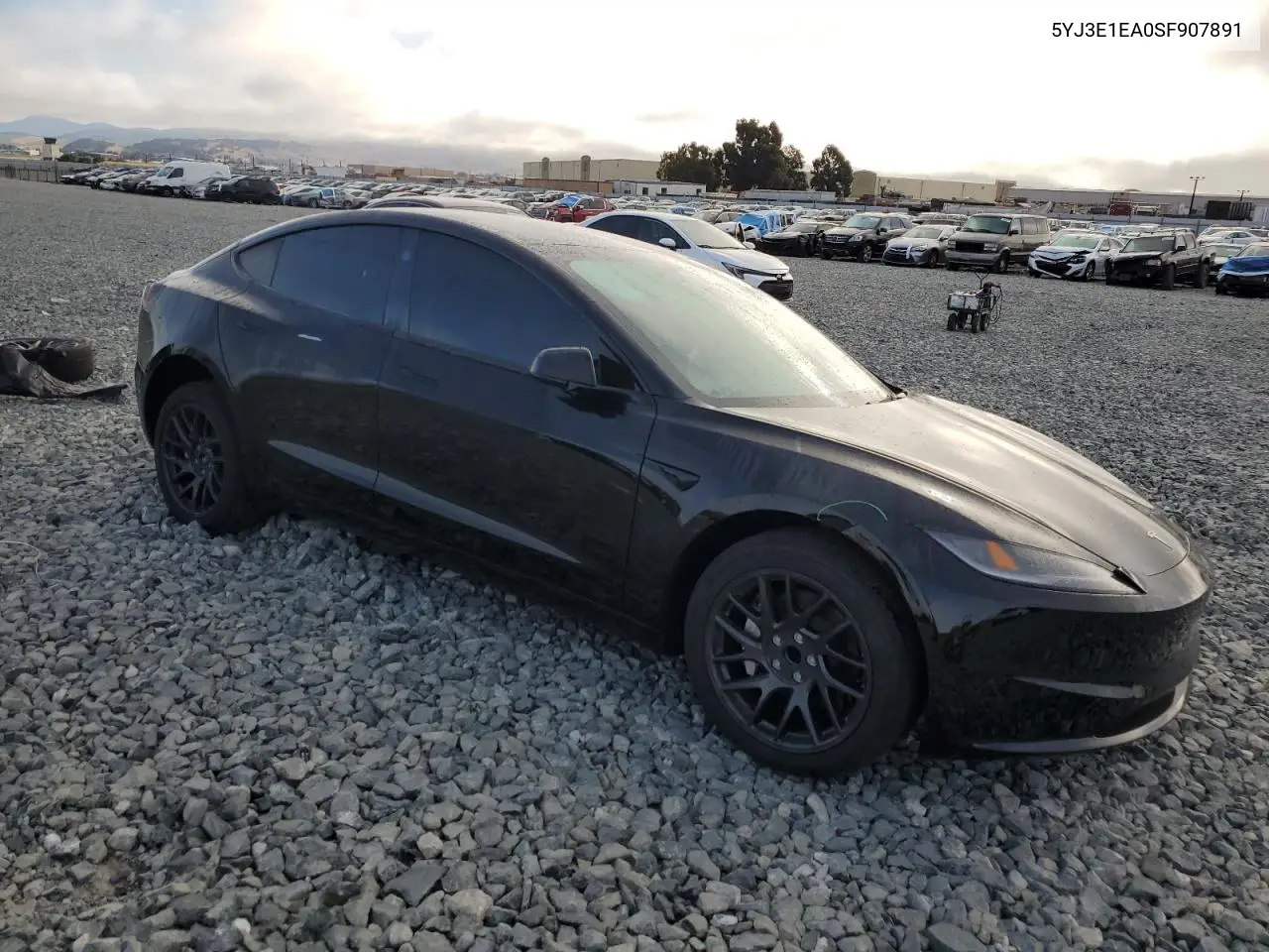 2025 Tesla Model 3 VIN: 5YJ3E1EA0SF907891 Lot: 64235785