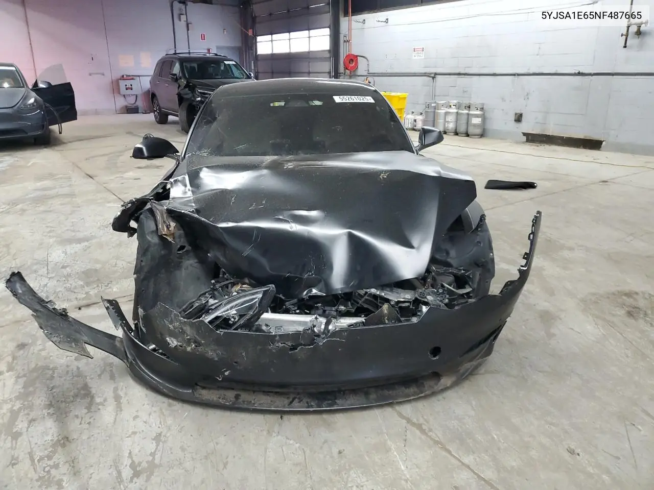 2022 Tesla Model S VIN: 5YJSA1E65NF487665 Lot: 55261025
