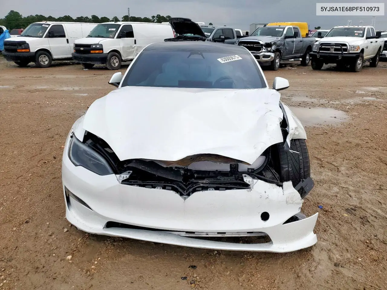 2023 Tesla Model S VIN: 5YJSA1E68PF510973 Lot: 63005675