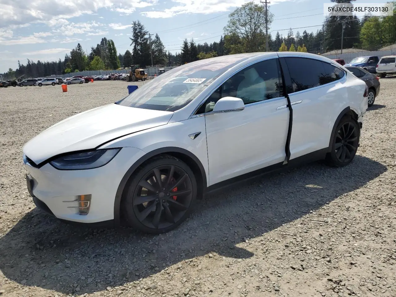 2020 Tesla Model X VIN: 5YJXCDE45LF303130 Lot: 55464665