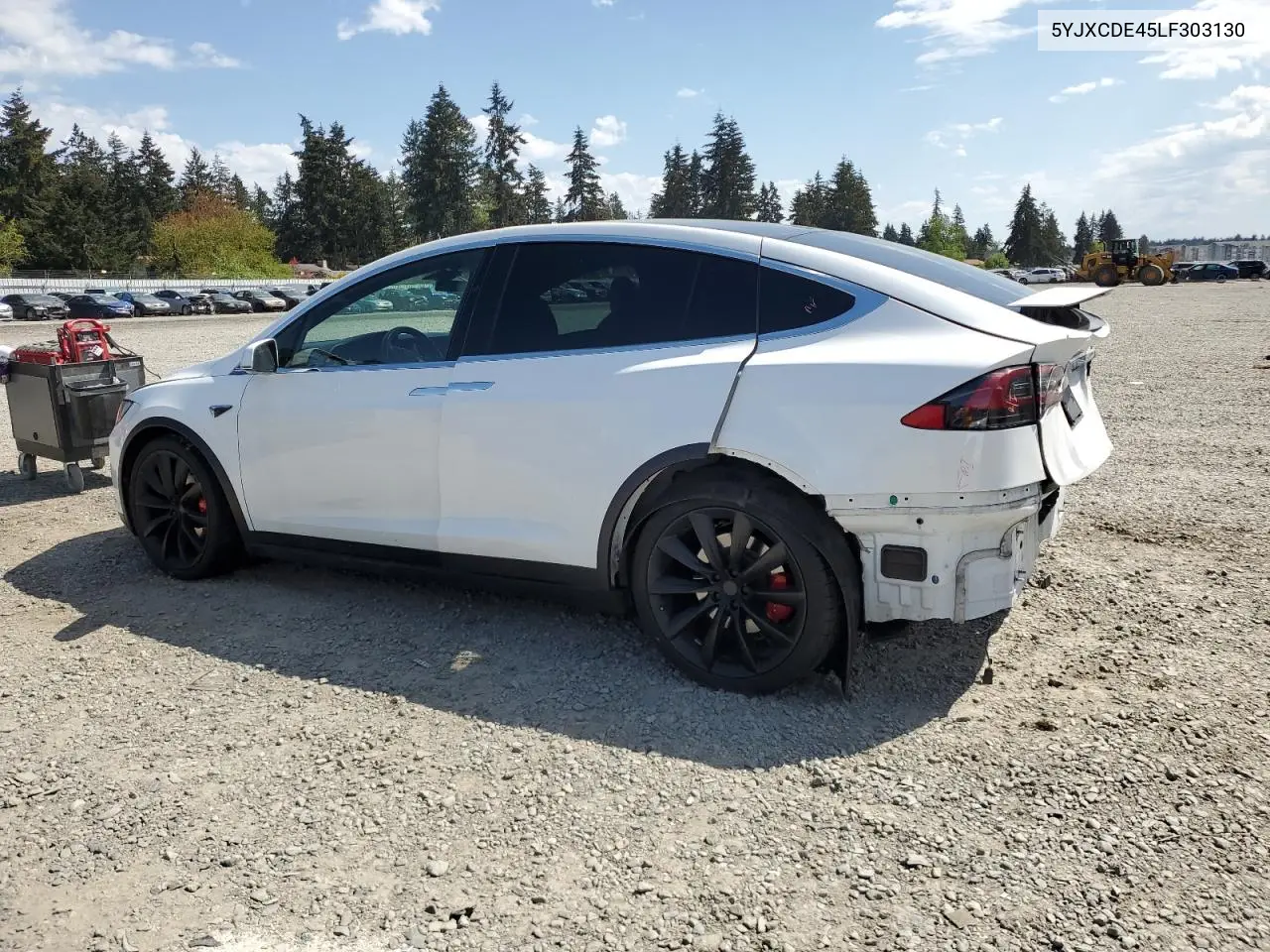 2020 Tesla Model X VIN: 5YJXCDE45LF303130 Lot: 55464665