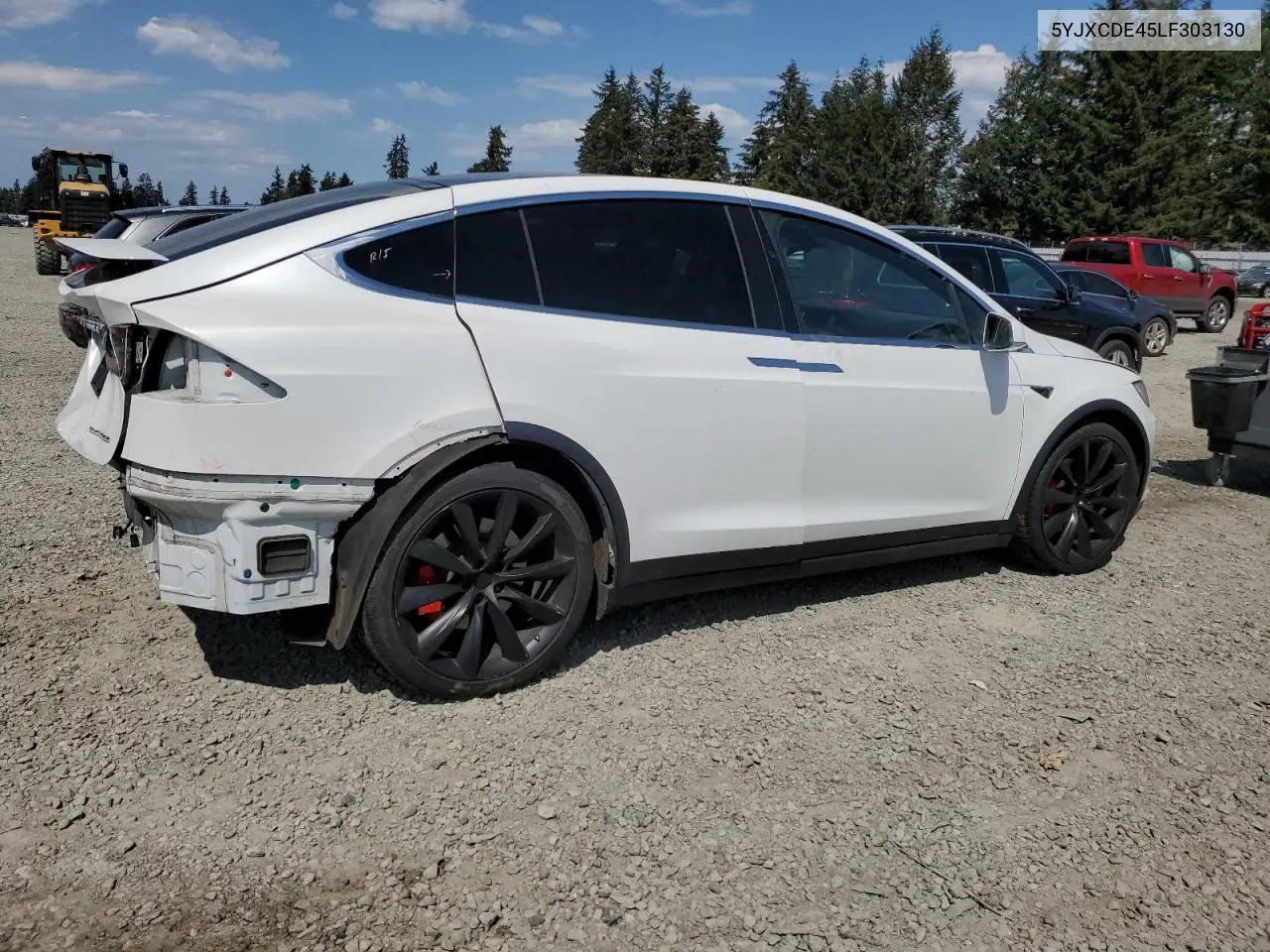 2020 Tesla Model X VIN: 5YJXCDE45LF303130 Lot: 55464665
