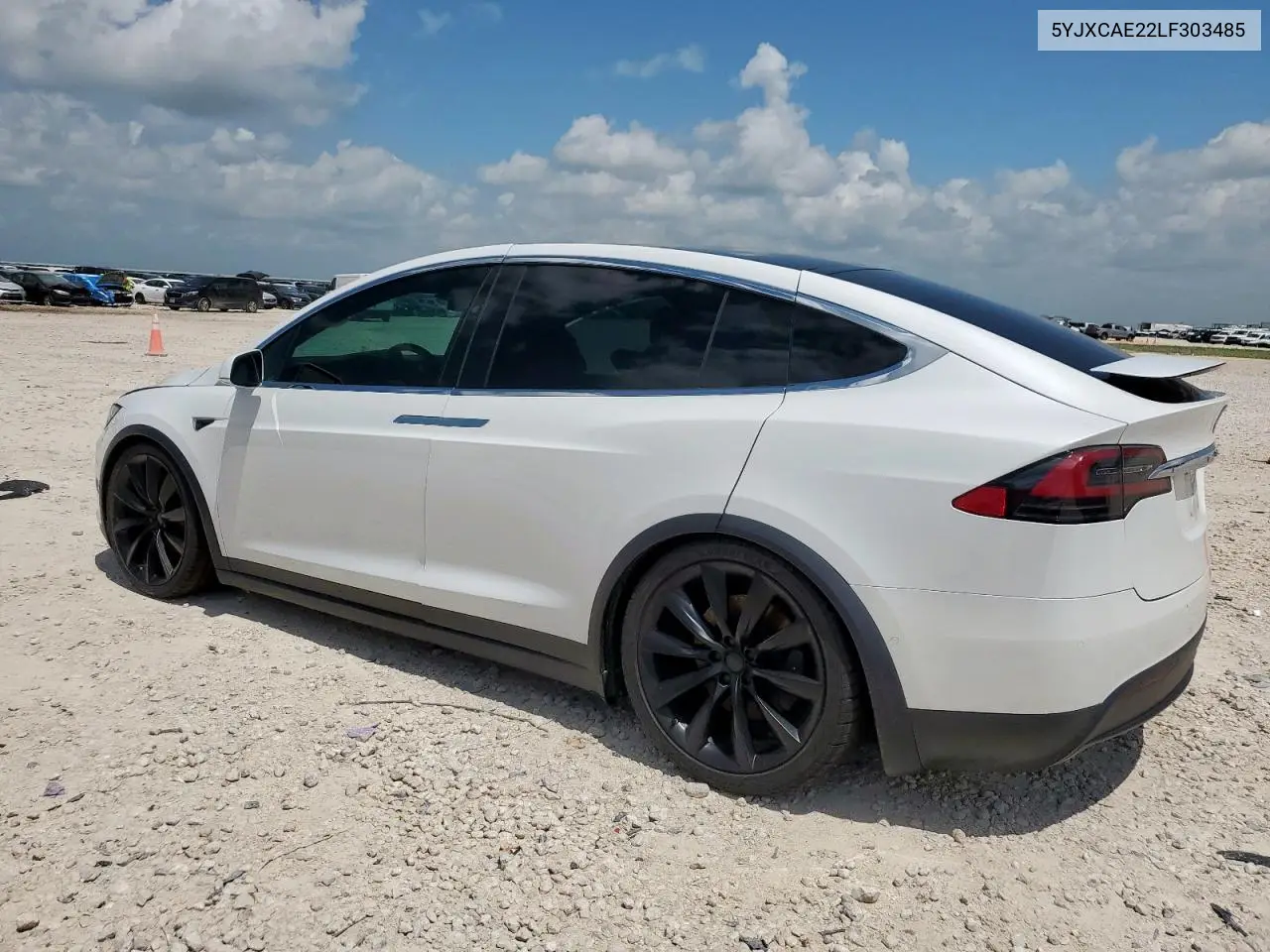 2020 Tesla Model X VIN: 5YJXCAE22LF303485 Lot: 61007095