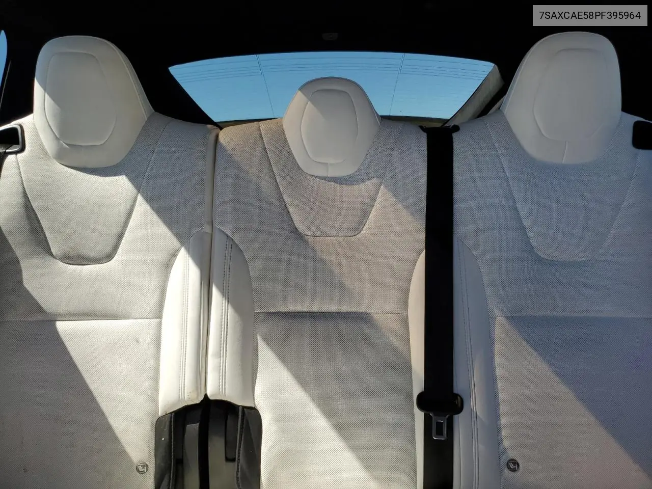 2023 Tesla Model X VIN: 7SAXCAE58PF395964 Lot: 50289865