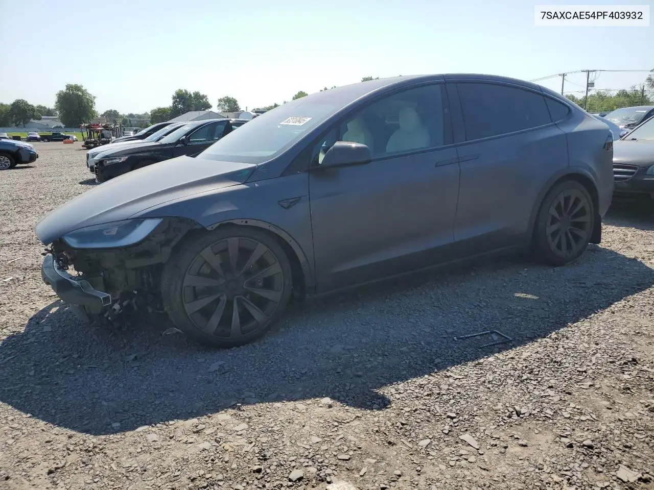 2023 Tesla Model X VIN: 7SAXCAE54PF403932 Lot: 62310845