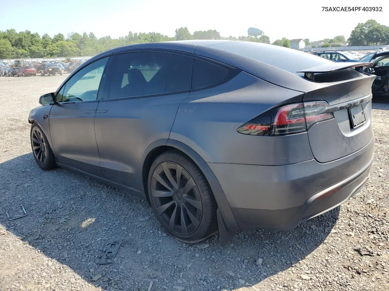 2023 Tesla Model X VIN: 7SAXCAE54PF403932 Lot: 62310845