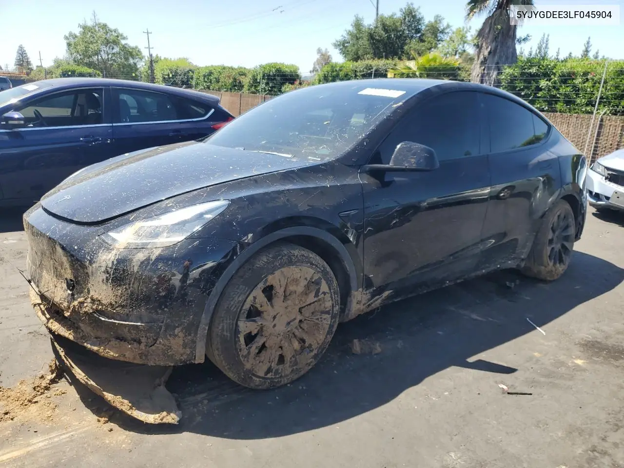 2020 Tesla Model Y VIN: 5YJYGDEE3LF045904 Lot: 56741315