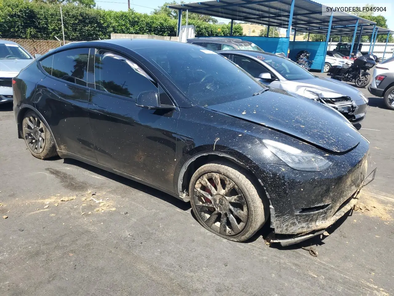2020 Tesla Model Y VIN: 5YJYGDEE3LF045904 Lot: 56741315