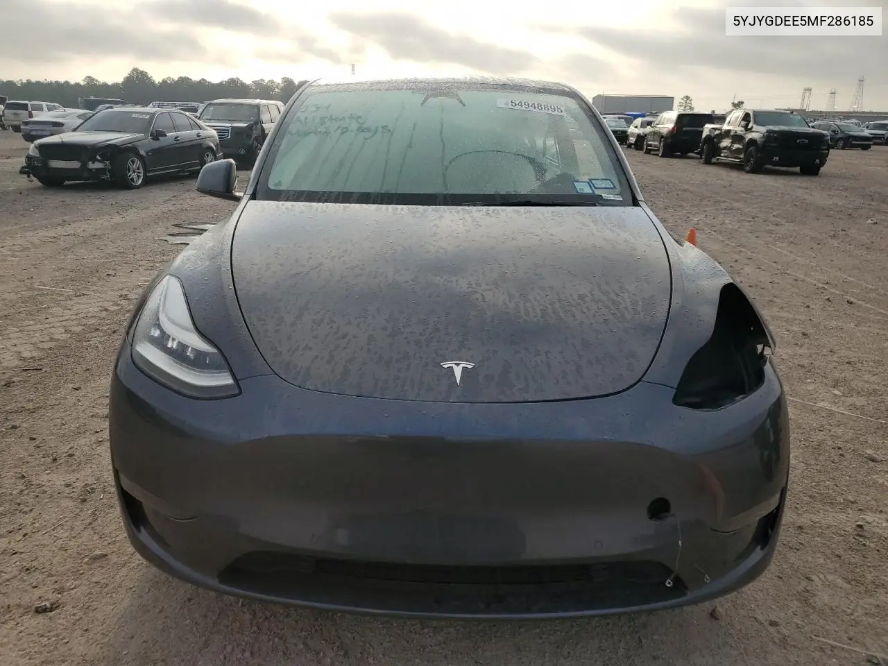 2021 Tesla Model Y VIN: 5YJYGDEE5MF286185 Lot: 54948895