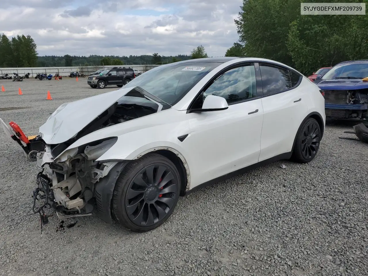 2021 Tesla Model Y VIN: 5YJYGDEFXMF209739 Lot: 56682785