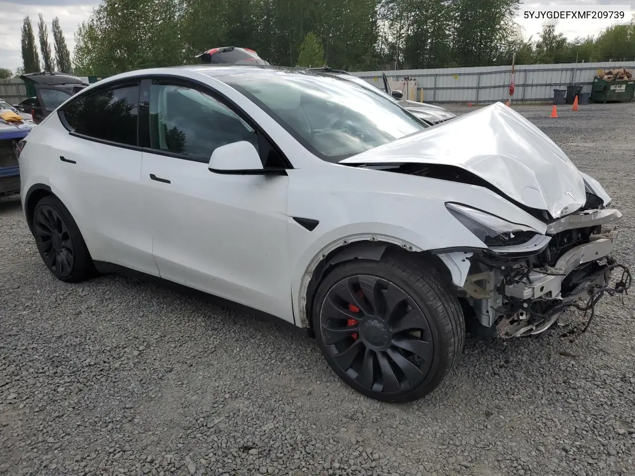 2021 Tesla Model Y VIN: 5YJYGDEFXMF209739 Lot: 56682785