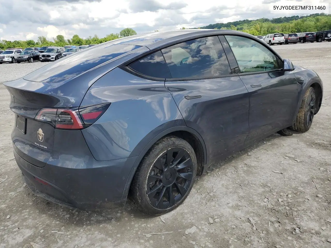 2021 Tesla Model Y VIN: 5YJYGDEE7MF311460 Lot: 56866155