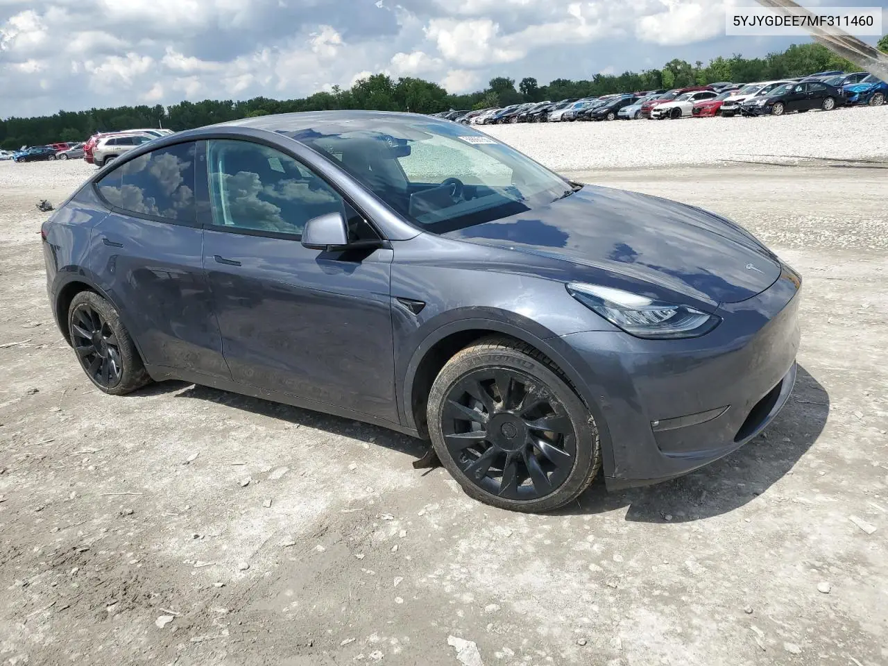 2021 Tesla Model Y VIN: 5YJYGDEE7MF311460 Lot: 56866155
